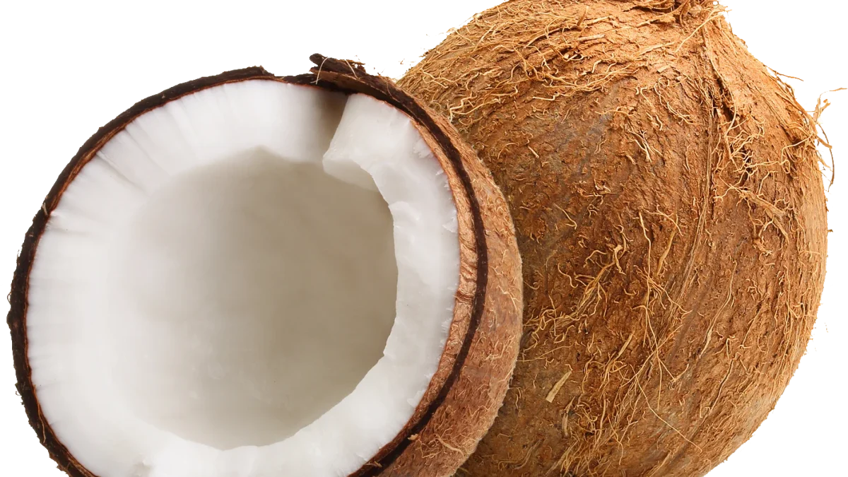 coconut 2